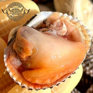 [품질 보장 벌교 새꼬막] 국내산 벌교 꼬막 산지직송 벌교새꼬막 가정용 캠핑용, 1개, 벌교 정품 새꼬막 중 6kg