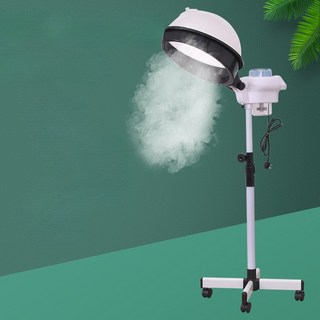 헤어 스파 스티머 미용실 미스트기 두피관리실 스팀기, A_플라스틱 스탠드