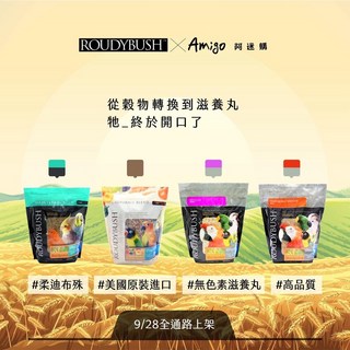 金瑞成鳥園 柔迪布殊滋養丸 美國品牌 無人工色素 各種雀鳥鸚鵡適用, 1個, 【2026/12】日常維護配方,迷你顆粒