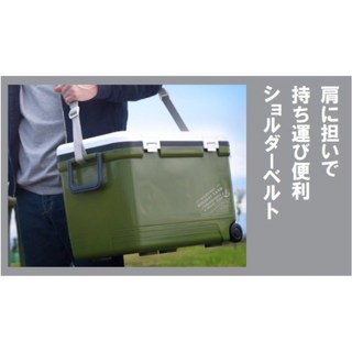 SHINWA伸和 Holiday Land 輕型保冷冰箱 硬式冰箱 保冷冰桶 釣魚冰箱 露營冰箱保溫 野餐保鮮冷藏箱, 蒂芬妮綠,7L, 7L