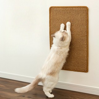 에쉬울프 어디든 고양이 스크래쳐, 1개, 브라운