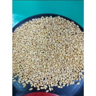 金協和【嚴選精品】小麥白小麥生麥粒 養生食品 養身食品, 600g, 1個