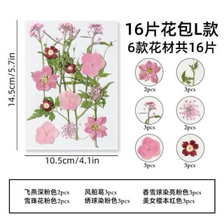 【16片系列】中花包組合 真花壓花 永生花 森林系 少女寫真 壁畫 DIY水晶滴膠 乾燥花 植物標本, 16片乾燥花-L
