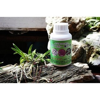 하이그린 난 전용 비료 세균퇴치제 미생물, 1개