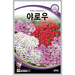 세계종묘 야로우 200립 허브씨앗, 1개