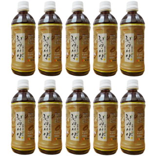 천현수 박사 산화질소 천연서약 면역력 강화 컨디션 유지 건강음료 500ml, 10개