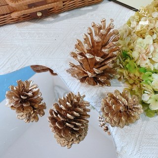 綜合松果 染色松果 果實 DIY 拍照道具 落葉松 大松花 小毬果 刷白 玫瑰杉松 花圈佈置 花圈材料 藤蔓花圈, 金色松果8-10公分（1顆）