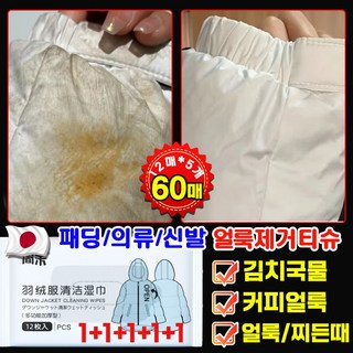 일본기술 [1+1+1+1+1] 패딩 얼룩 제거 화장품 지우는 물티슈 의류 얼룩 제거제 패딩 오염 김치 국물 기름 얼룩 제거 패딩 크리너 휴대용, 5개, 12개입