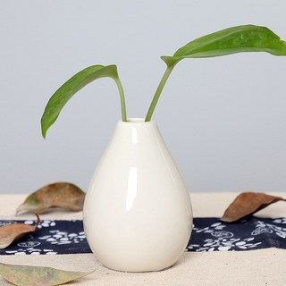 苔蘚生態瓶 藍瓶 生態瓶 ins風創意陶瓷花瓶擺件客廳插花乾燥花藝術個性小口徑花器現代簡約, 胖墩【白色】