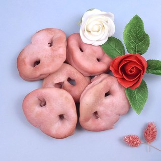 돼지코 10개 강아지 수제간식 만들기 돼지국밥용 생물, 10g, 1개