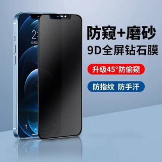 適用iPhone 16 15 14 13 11 XR XS, 1個, 磨砂霧面防窺玻璃貼【1片】,12promax