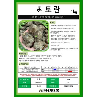 씨종자-국내산 토란 500g 토란종자 토란종근 씨토란 토란씨 토란씨앗 국산, 1개