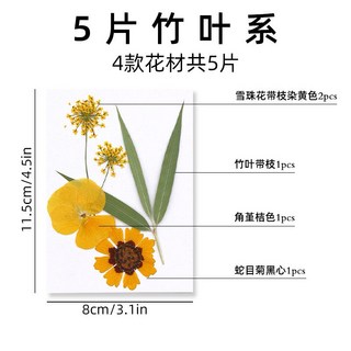 壓花系列花包組合 真花壓花 永生花 乾燥花 DIY水晶滴膠 植物標本 5片裝, 8.竹葉系