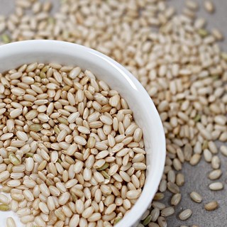 두레마을 10인농부 25년산 찰현미, 1개, 20kg