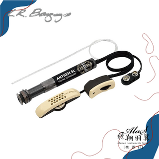 L.R. Baggs ANTHEM SL Tru-Mic Technology 電吉他拾音器系統, 1個
