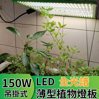 君沛植物燈 LED植物燈150瓦 量子板 全光譜led燈板, 1個, 全光譜,裸版型, 全光譜
