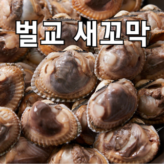(무료 산지직송)벌교 자연산 새꼬막 제철 꼬막 특품 대 중 상 1kg 2kg 3kg 5kg, 1개, 자연산 새꼬막 대 1kg (80미 내외)