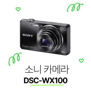 소니 사이버샷 DSC-WX100 메모리 패키지, 16GB 메모리+케이스+리더기