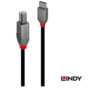 LINDY林帝USB2.0 TYPE-C轉TYPE-B數據線 訊號線 列表機線 印表機傳輸線 (一年保固 隔日到貨), 1個, 1米=1公尺(LD36941)