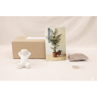 잔디머리 인형 키우기 화분인형 I 사무실 책상 미니 식물 (단품), 04. 엎드려 있는 모양, white