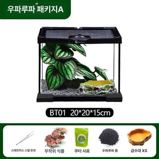 장수풍뎅이집 비바리움 곤충보관함 달팽이 사육통 파충류, 개구리 사육 1 BT01, 1개, 1L