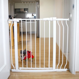 펫츄츄 반려동물 안전문 펜스 대형, 1개, (본품별도)