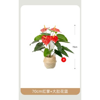 몬테스라 식물 그린잎 조화 몬스테라 인테리어, 1개, 70cm안스리움+대배꽃바구니