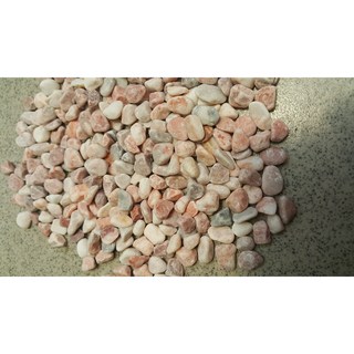 【微景小舖】彩繪石頭 玫瑰色石頭 生態瓶DIY造景必備 小石頭微景觀多肉植物盆栽裝飾 苔蘚微景觀擺件 彩繪石 DIY組盆, 1個, 彩繪石-1.2分(約0.6-0.9cm),300克