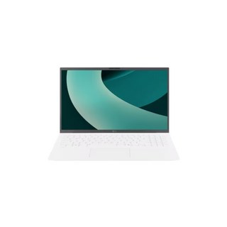 LG 그램 15Z90S-GA5PK