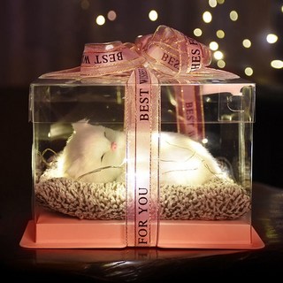 生日禮物 女生禮物 閨蜜 情人節 禮物 學生 18歲 紀念 實用創意 生日禮物女 聖誕節禮物, 小波斯貓禮盒18*18*12cm, 1個