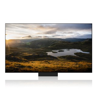 LG전자 4K UHD QNED evo TV 방문설치, 217cm(86인치), 86QNED91TKA, 스탠드형