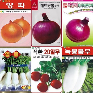그린가든 AR2 주요 잎채소 열매채소 씨앗 모음, H4_흰찰옥수수 30g