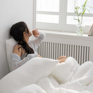 [국내생산]도르리 마이크로 M2워싱 알러지케어 항균 진드기방지 인증 차렵이불