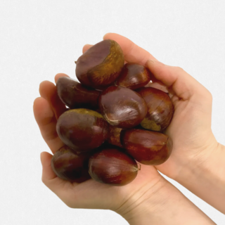 한달음농산 부여 굿뜨레 햇밤 알밤 밤, 1개, 3kg(대)