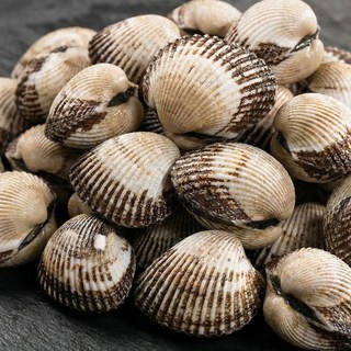 벌교 여자만 제철 꼬막 새꼬막 탱글한 식감, 1개, 중 2kg