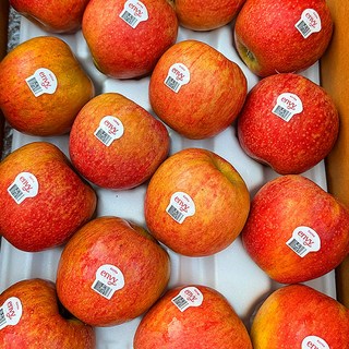 국내산 제철과일 사과 앤비 엔비사과 당도선별 특품, 1개, 3kg