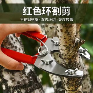 環割剪刀 環切刀 環形剪 葡萄環剝剪 環枝剪 環割刀 果樹環剝刀 園藝剪刀 混輪環剝鉗, 1個, 第一代環割鉗【6公分開口】