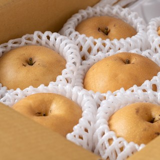 나주로농산 자연진리 나주배 가정용, 1개, 나주배 가정용 5kg 10-11과