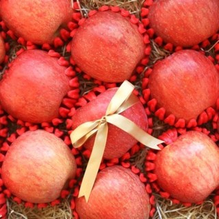 안동 꿀사과 정성담은 명품 프리미엄 홍로 사과 선물세트 당도최고, 1박스, 선물용 사과(5kg)