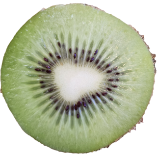 뉴질랜드키위 그린키위 뉴질랜드그린키위, 1박스, 뉴질랜드그린키위 중대과 2.5KG(19과내외)