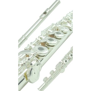 Elegant FL-2110 鍍銀開孔長笛, 詳見包裝