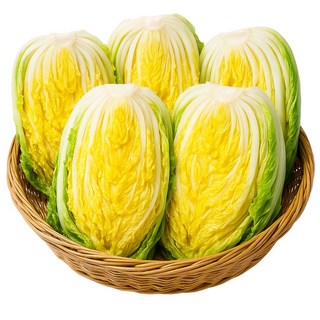 [선별최상품] 해남 절임 절인 김장 배추 HACCP 인증 산지직송 디아머스, 2~5일후 전화 문자 배송일정 안내, 1박스, 40kg