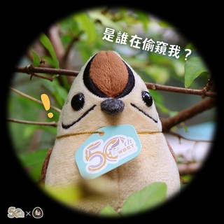 台北鳥大叔 冠羽畫眉50周年紀念球偶, 冠羽畫眉球偶