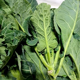 아삭아삭 신선한 케일쫑 4kg, 01.케일쫑 4kg