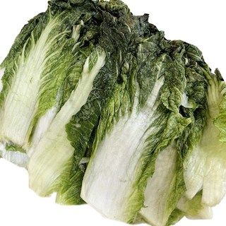 [평창꽃순이] 평창 절임배추 우거지 10kg, 1개