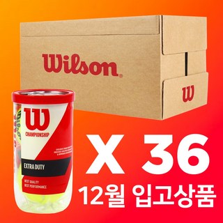윌슨 테니스공 36캔 시합구 1박스, 라임, 72개