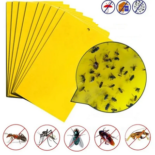 잘가라 해충 퇴치 끈끈이 트랩 (30X20cm), 40개