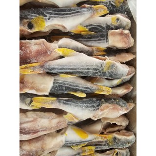 도매/업소용 냉동복어(까치복) 10kg (300-500사이즈 약30마리 내외 손질 유독제거), 1박스