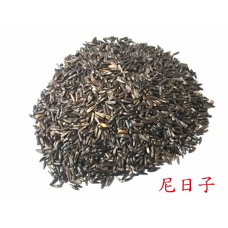 ＊來成鳥園＊鳥飼料/尼日子-小包/營養補充/生蛋/增加熱量寒冬必備/主食/零食/零嘴皆可/鸚鵡飼料/金絲雀鳴叫/倉鼠飼料, 1個, 尼日子-小包裝-80克