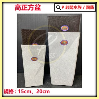P老闆園藝 方型高盆 15CM 20CM塑膠正方盆 - 室內外種植園藝資材育苗高盆, 1個, 15CM咖
